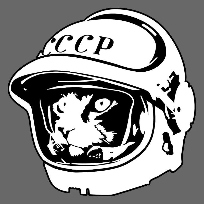 Kosmo Cat – Aventure spatiale et astronomique
