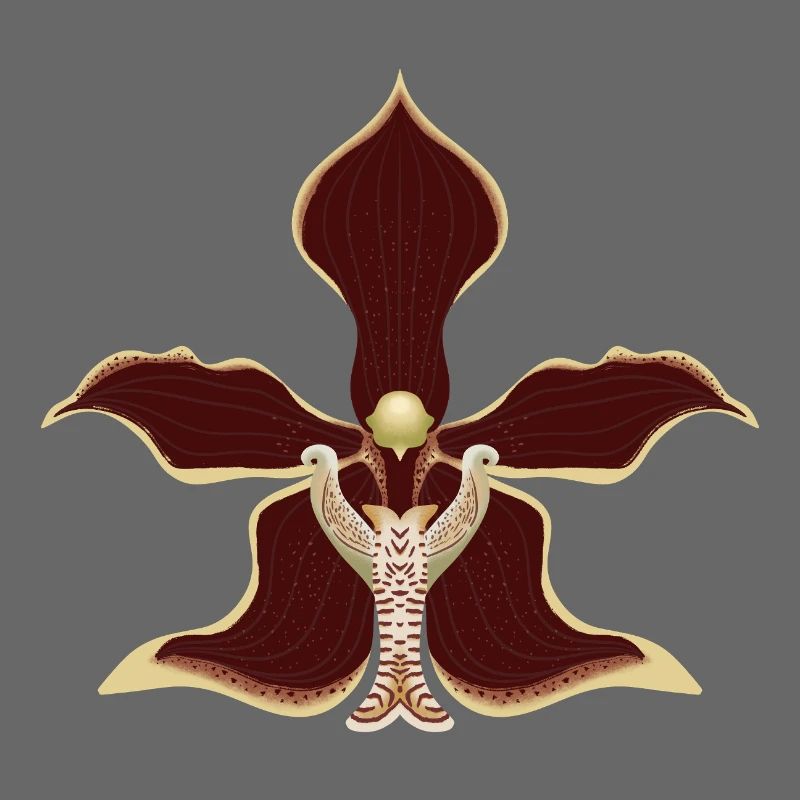 fleur d’orchidée