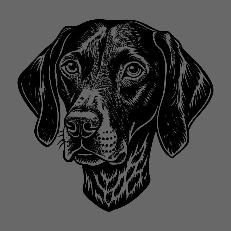 Pointer dog