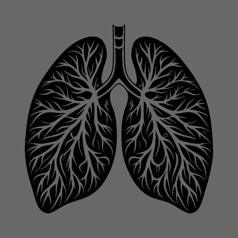 Lungen