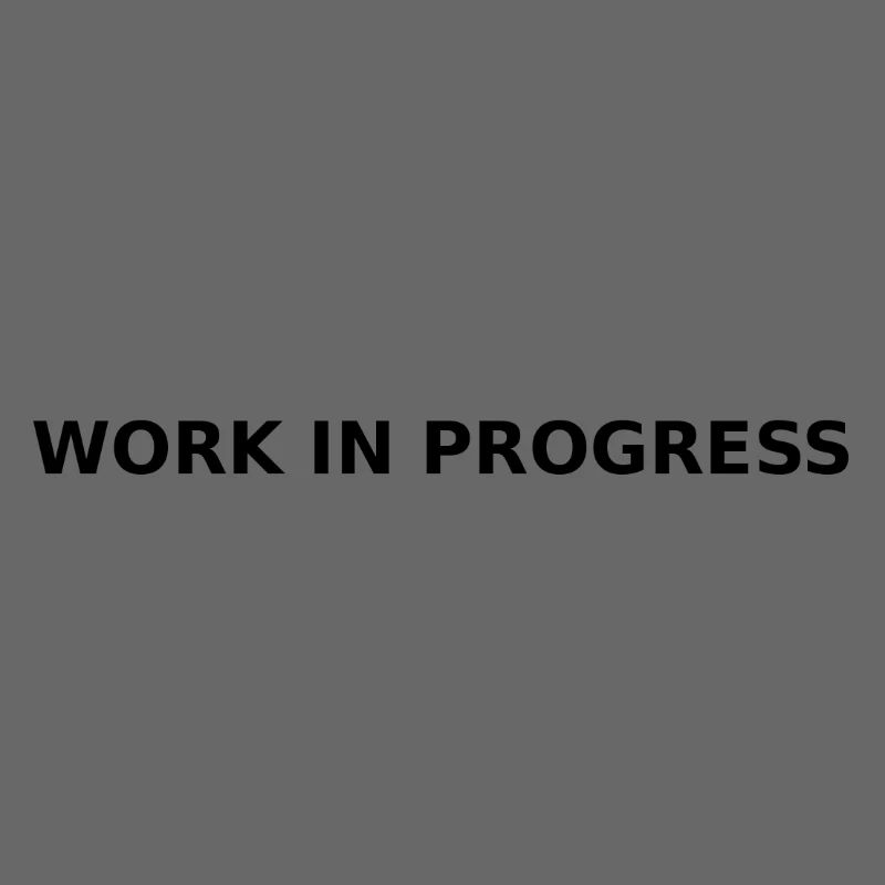 Work in Progress