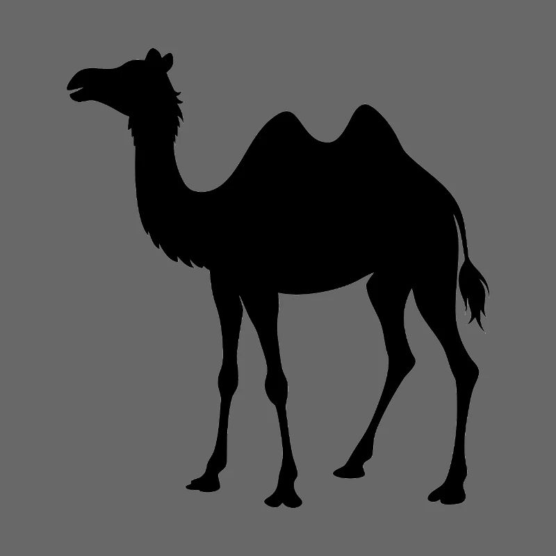 Camel