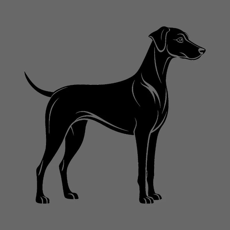 Intrigue Hound