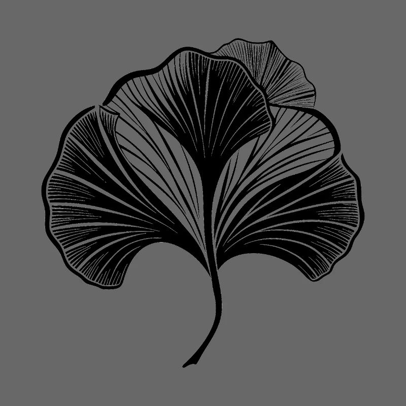 Ginkgo Leaf