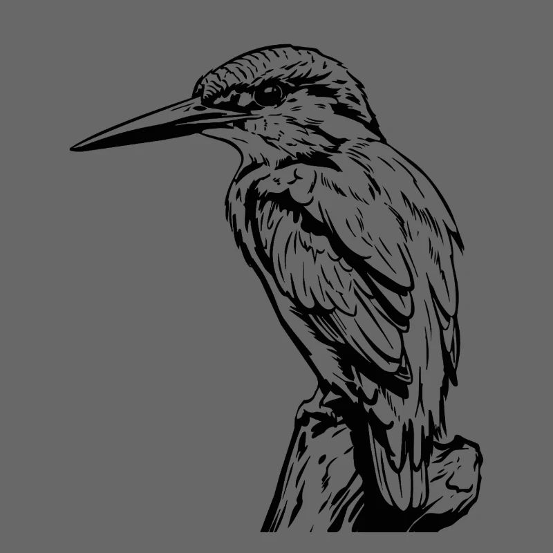Specht / Eisvogel