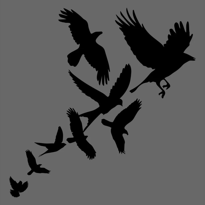 Birds