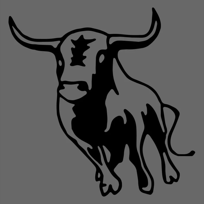 Stier,Torero,Bulle,Matador,