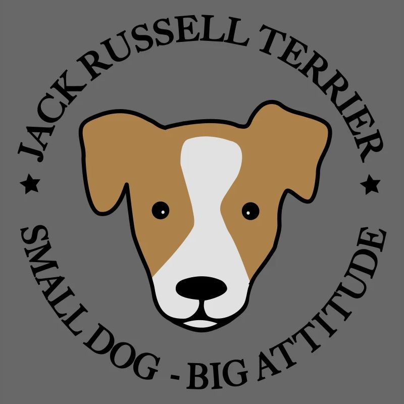 Jack Russell Terrier