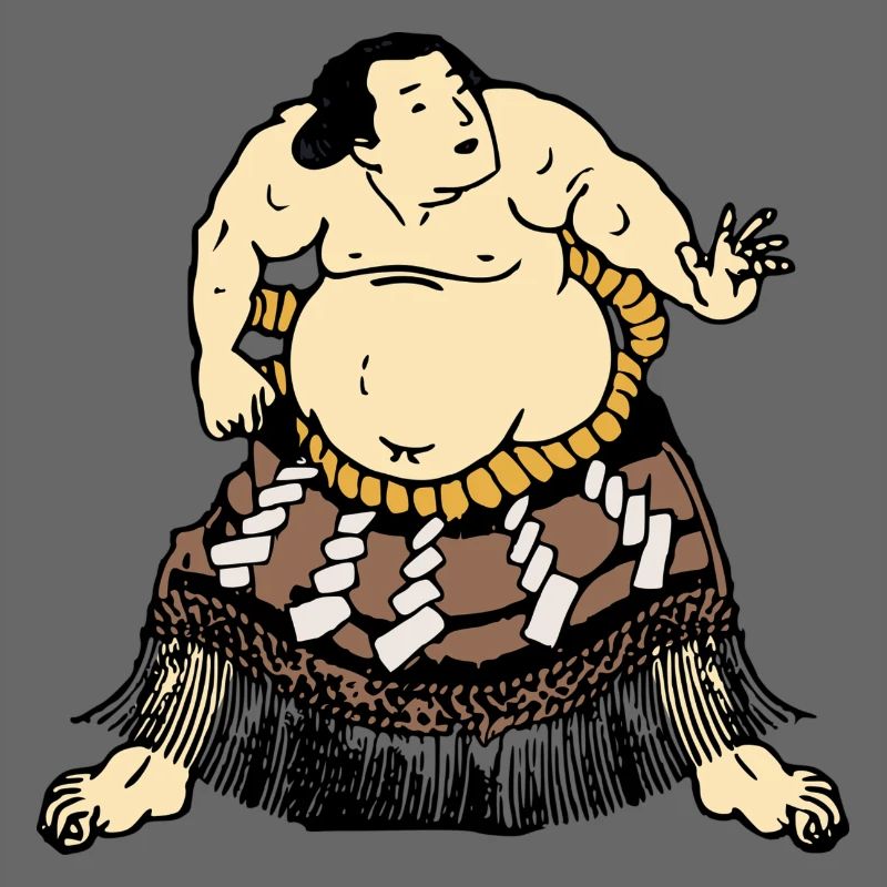 Sumo Ringer