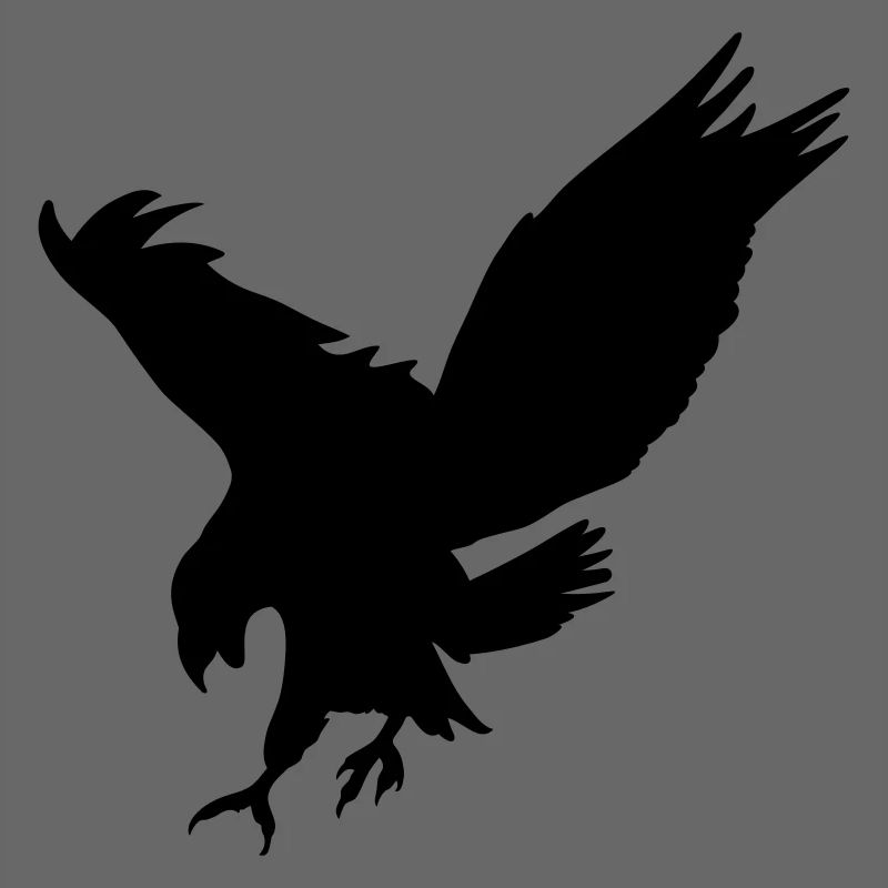 Raven Animal Idea Gift Beak Claws Bird