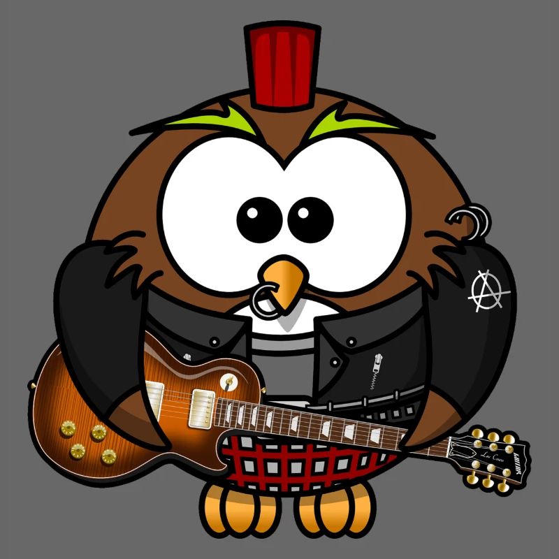 Eule als Punk mit Gitarre. Geschenkidee