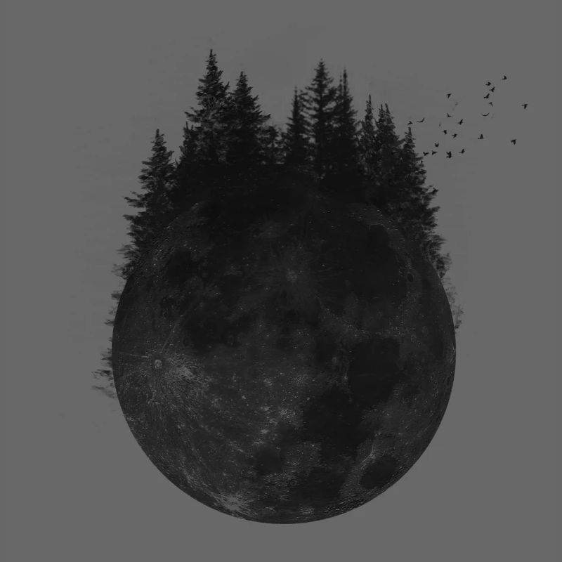 Wald Mond