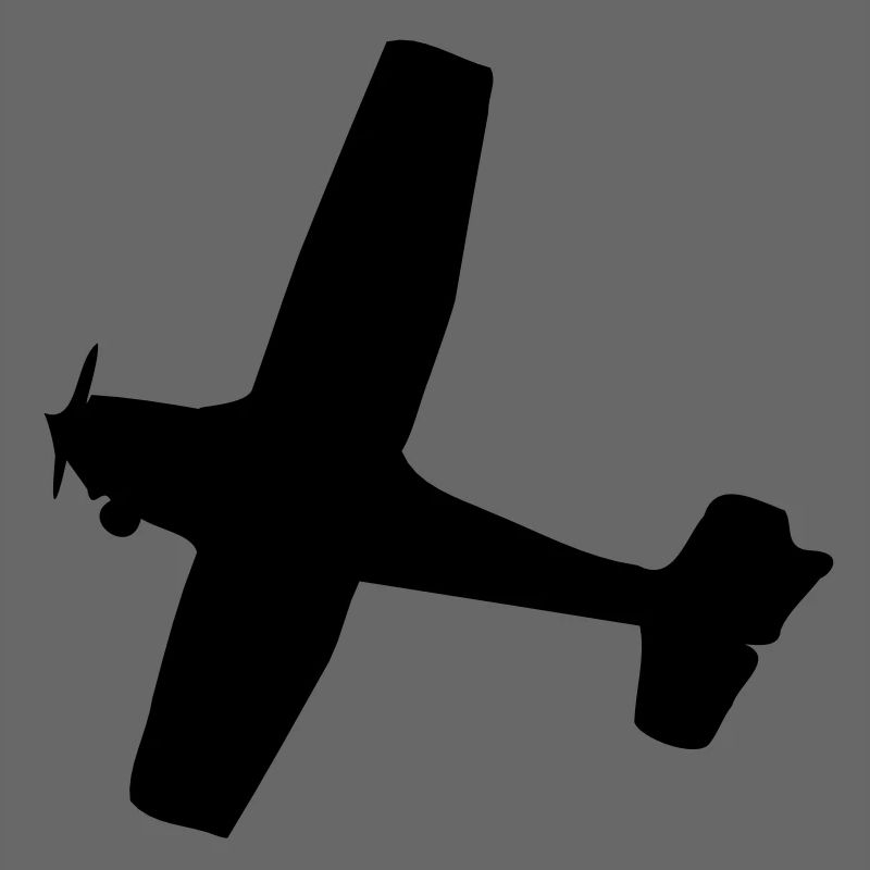 Flugzeug