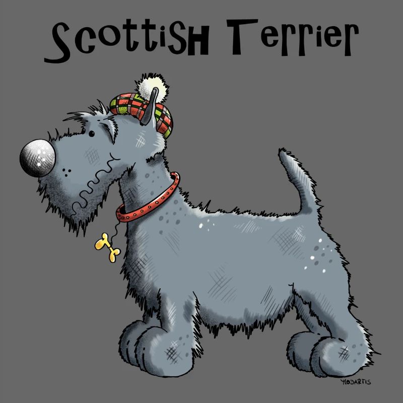 Mignon Scottish Terrier