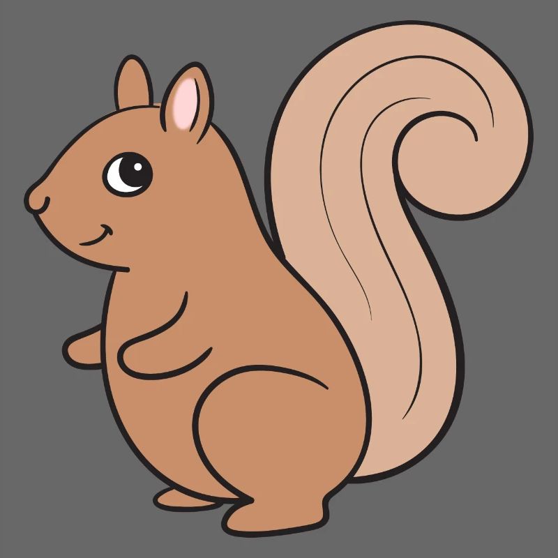 Eichhörnchen
