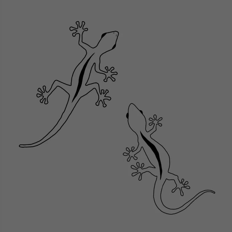 Two Lizards