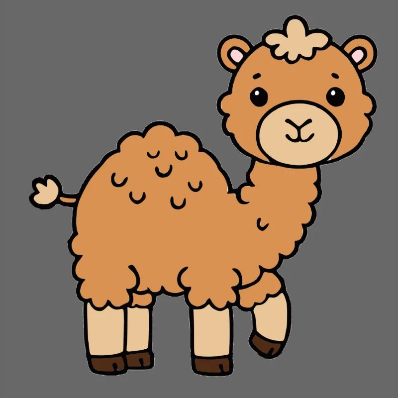 Camel Dromedary