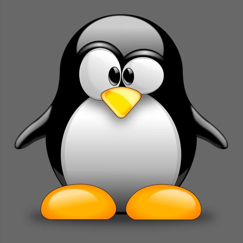 Klassischer Pinguin! Geschenkidee Idee