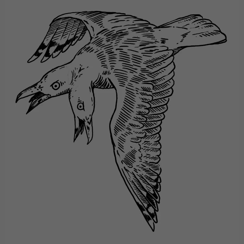 Two-headed seagull