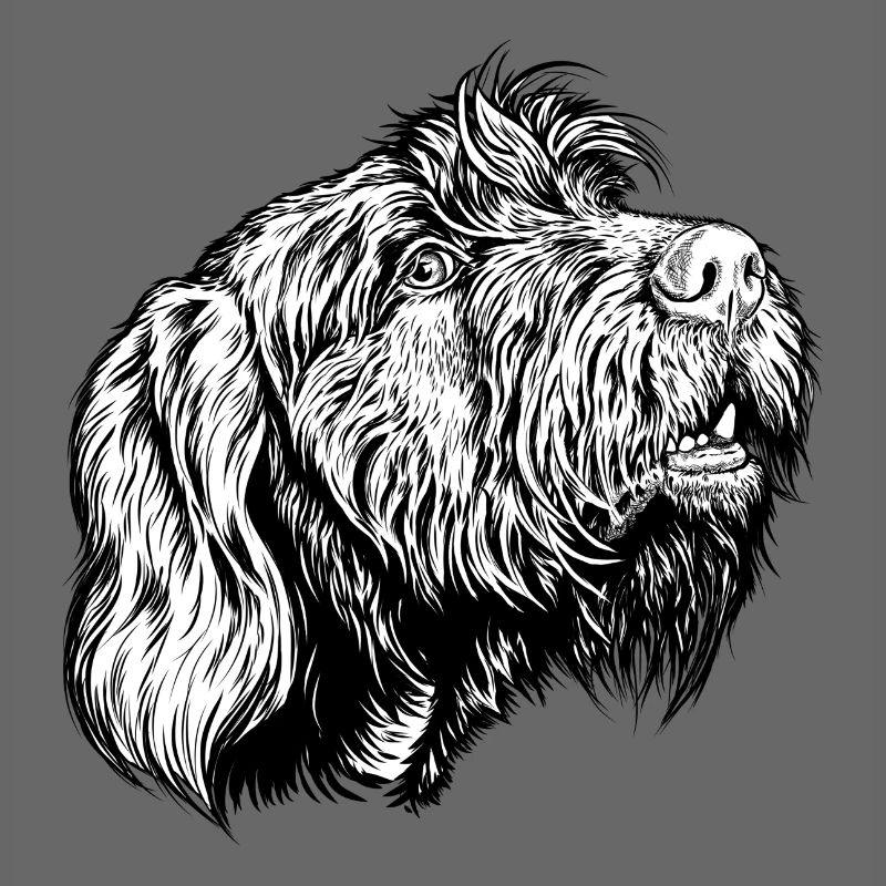 Pudelpointer joins in the conversation