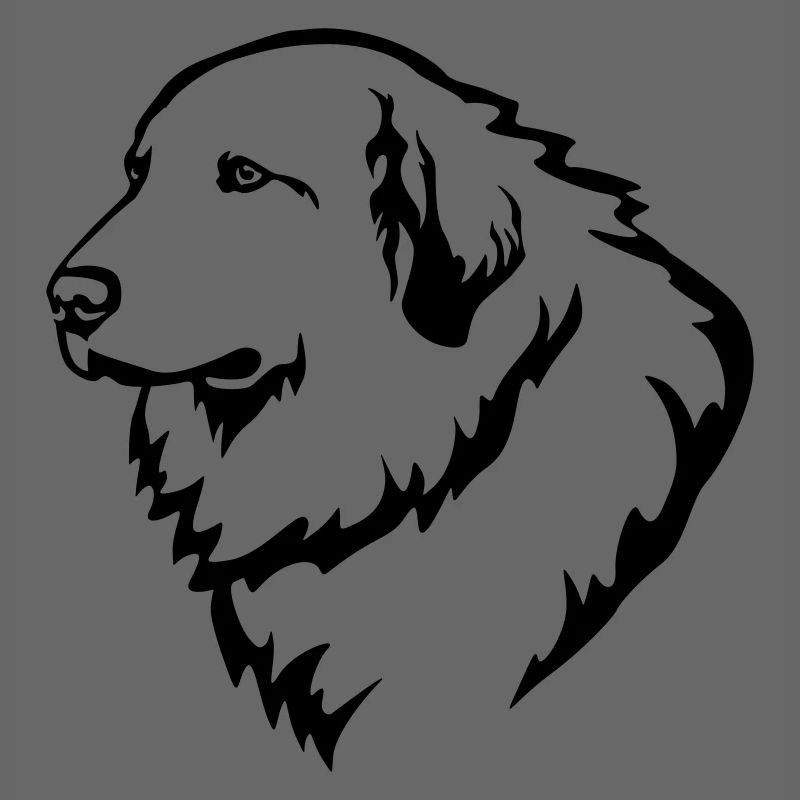 Pyrenean Mountain Dog Head
