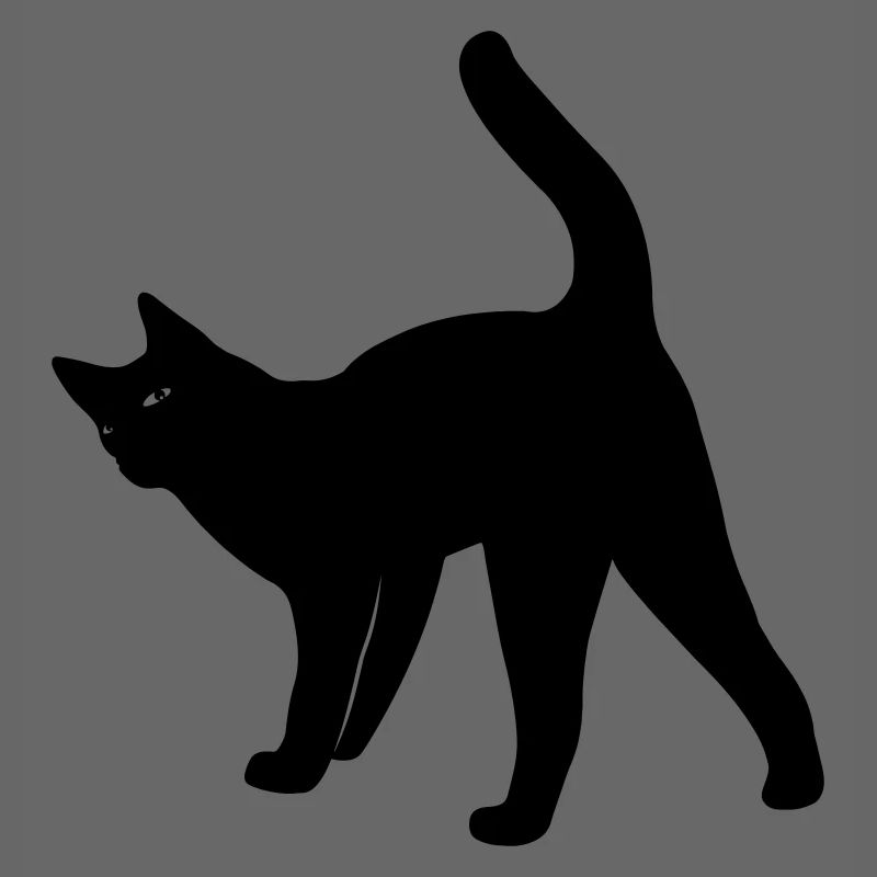 Chat chat