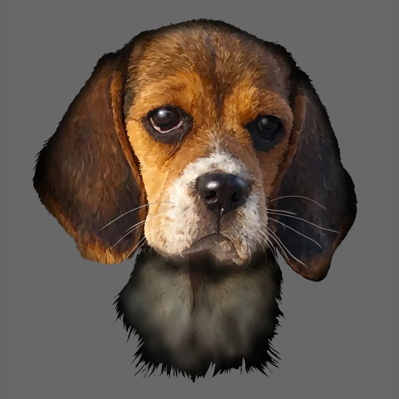 Beagle