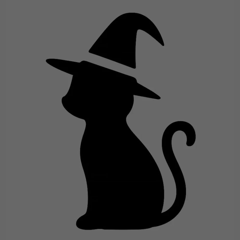 Katze mit Hexenhut