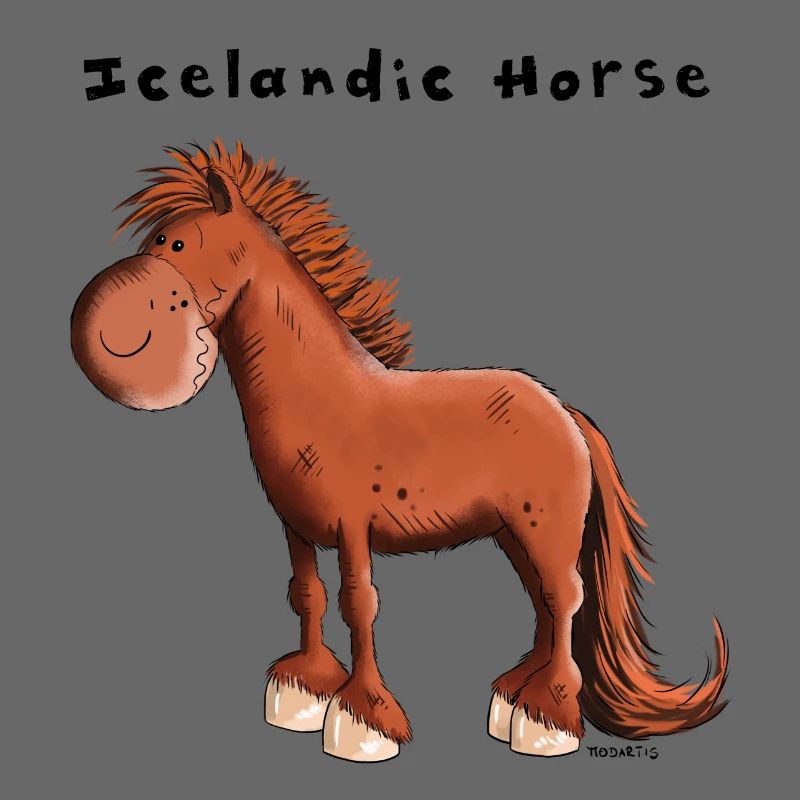 Der Isländer