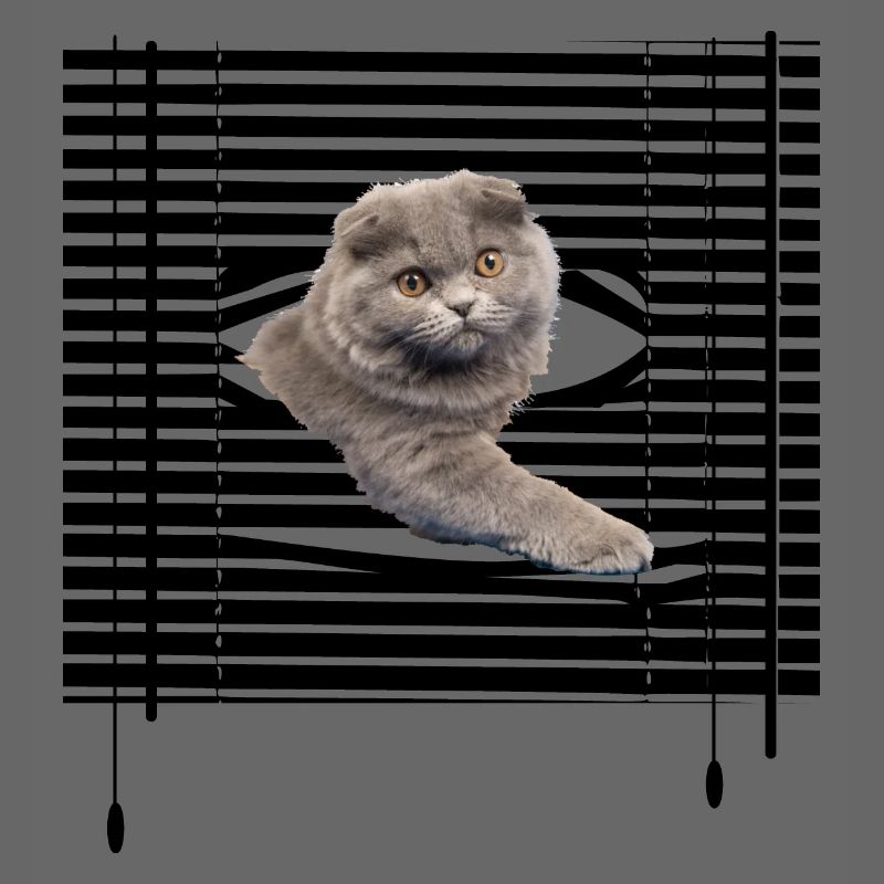 Meine Katze flieht