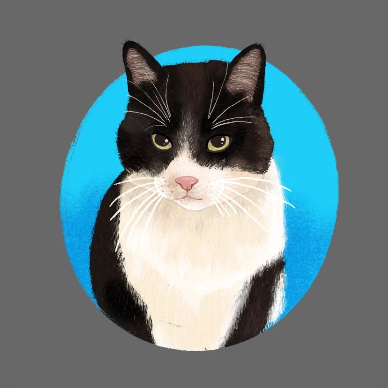 Noir Blanc Chat