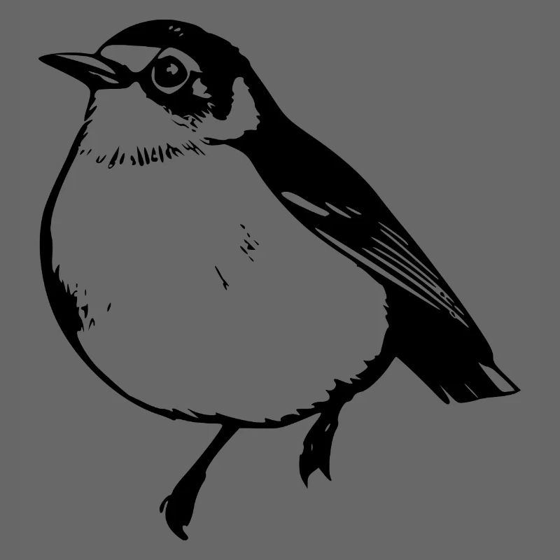 Vogel schwarz schwarzer Vogel