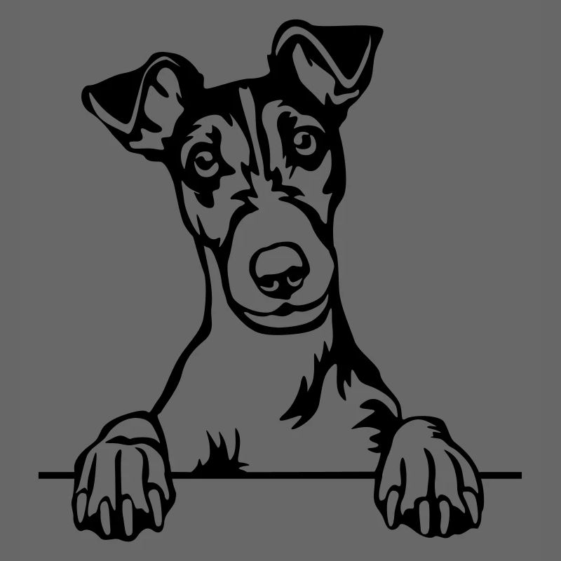 Tête de Fox Terrier