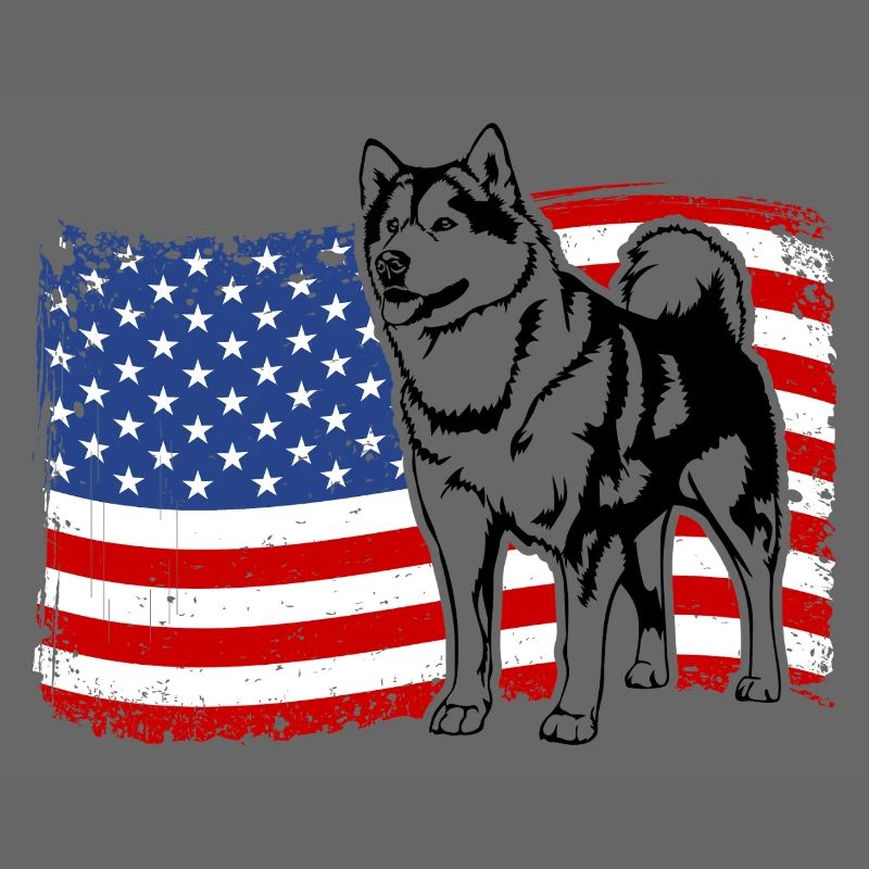Alaskan Malamute US Amérique Drapeau Chiens Wilsigns