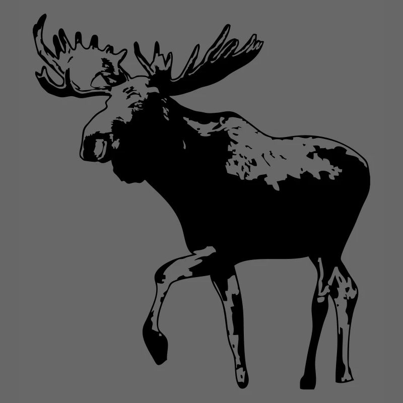 elch - elk - moose - jagd - jäger