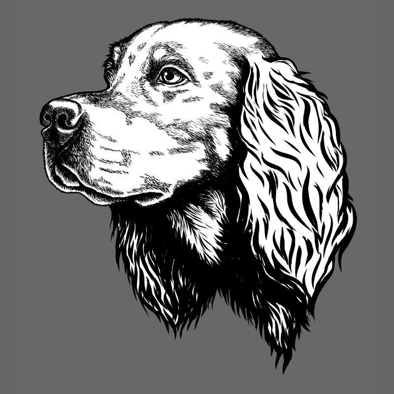 Gordon Setter Portrait