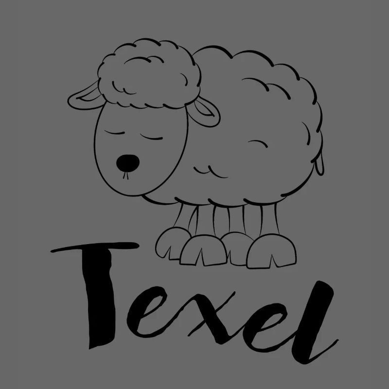 Texel Schaf