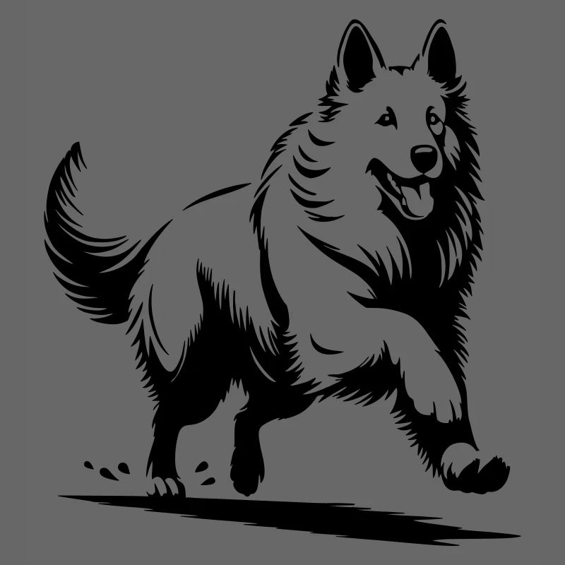 Swiss Shepherd