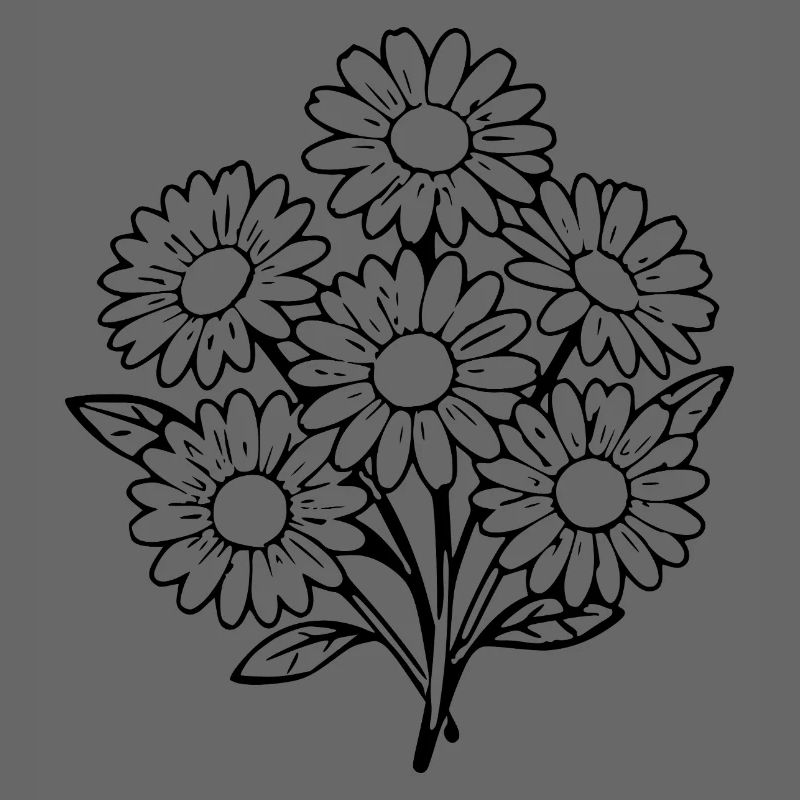 Blume schwarz schwarze Blume Blumen Gänseblümchen