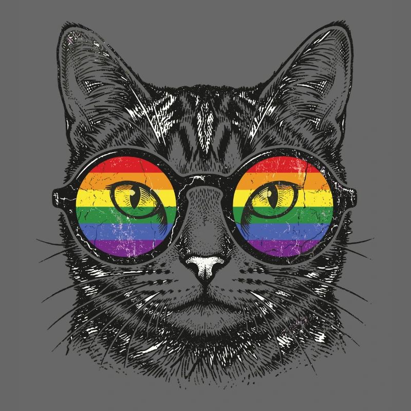 LGBT-Pride-Monat – Regenbogenkatze
