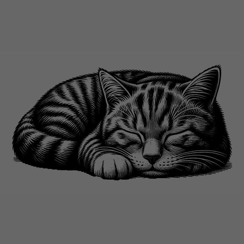 Chaton endormi mignon