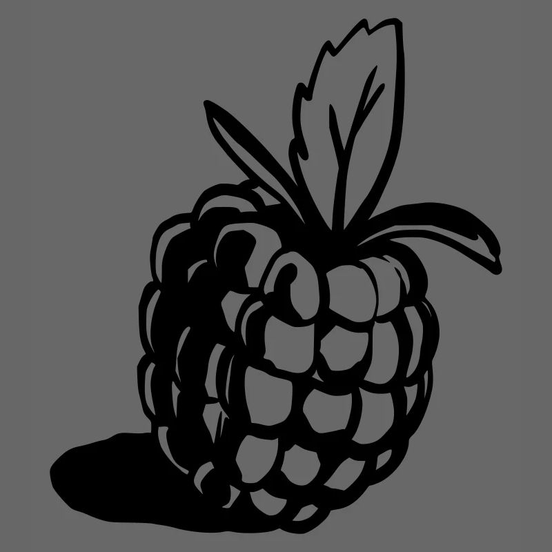 Himbeere Design klassisch