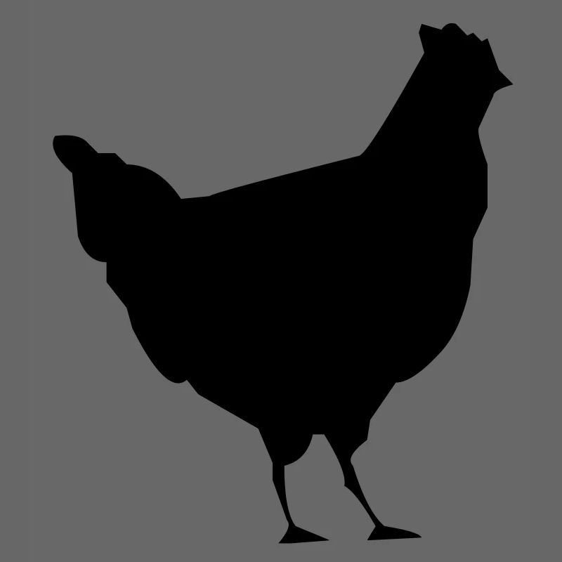 coq les poule poulet
