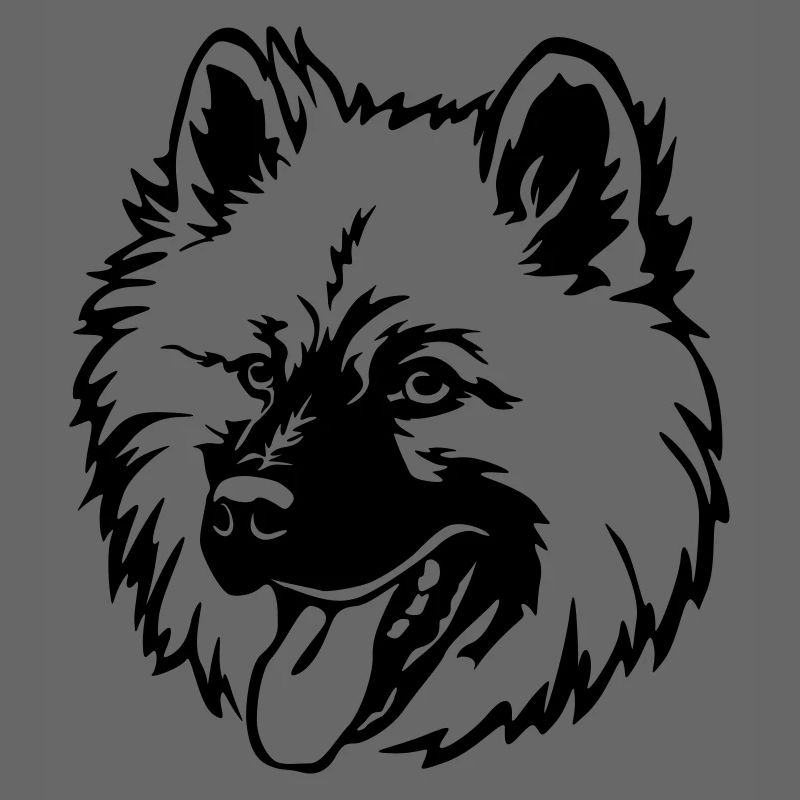 Eurasier Kopf