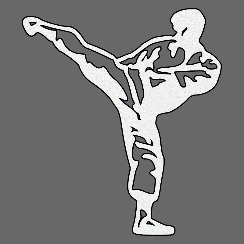 karate silber