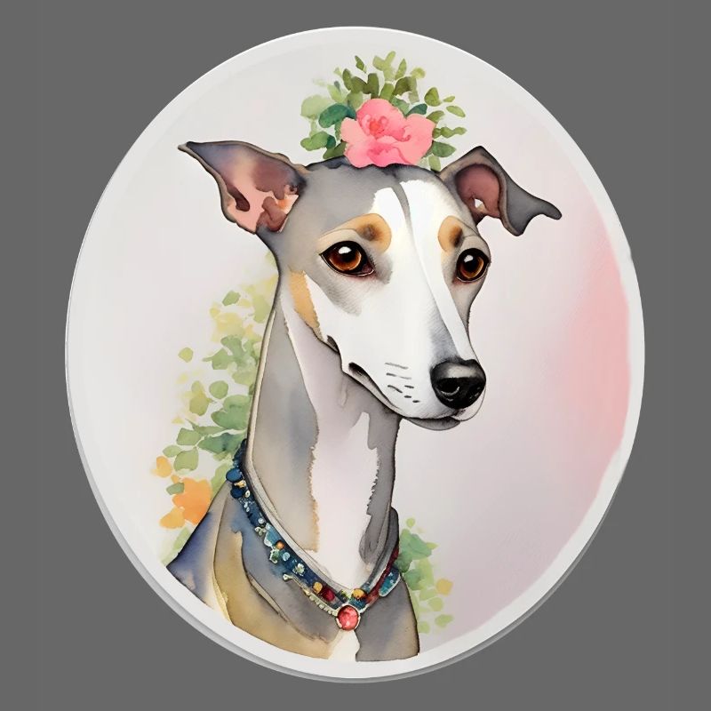 Whippet