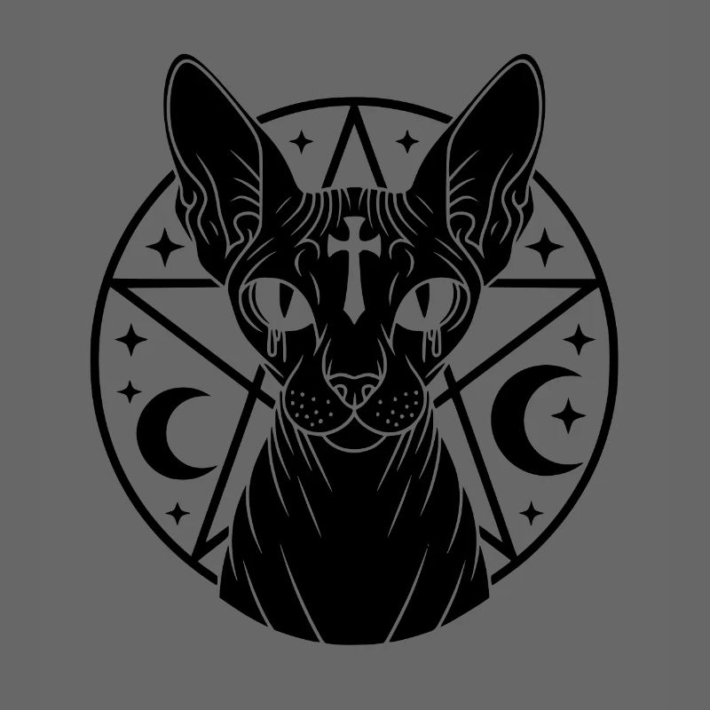 Sphynx Katze Okkult