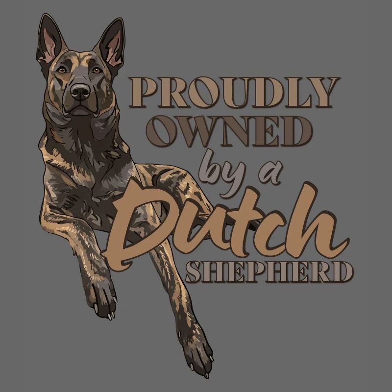 Dutch Shepherd - Dutchie 