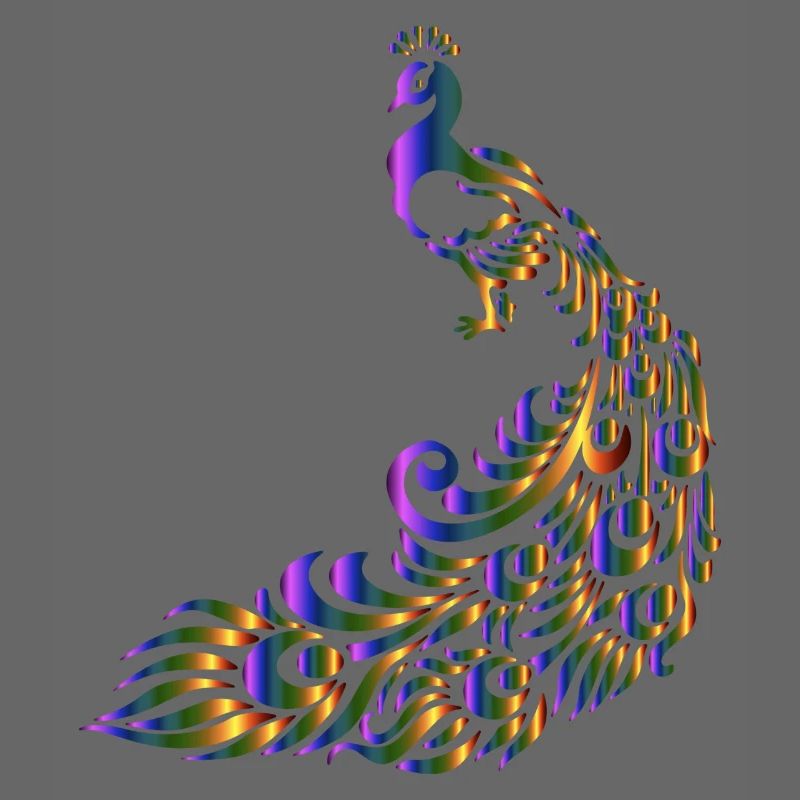 Pfau bunt