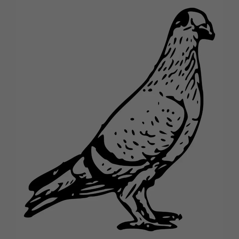 dove134